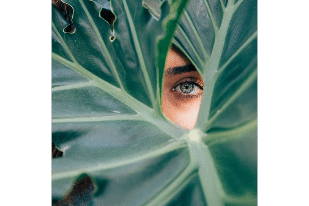 Living Pure Naturals Spa & Wellness Organic